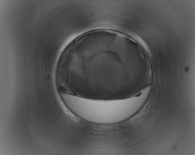 X0000094211144200711241654