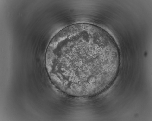 X0000094211145200711241654