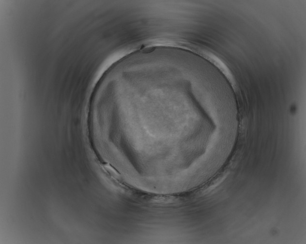 X0000094211146200711241654