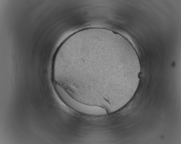 X0000094211147200711241654