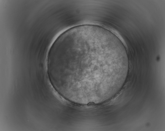 X0000094211148200711241654