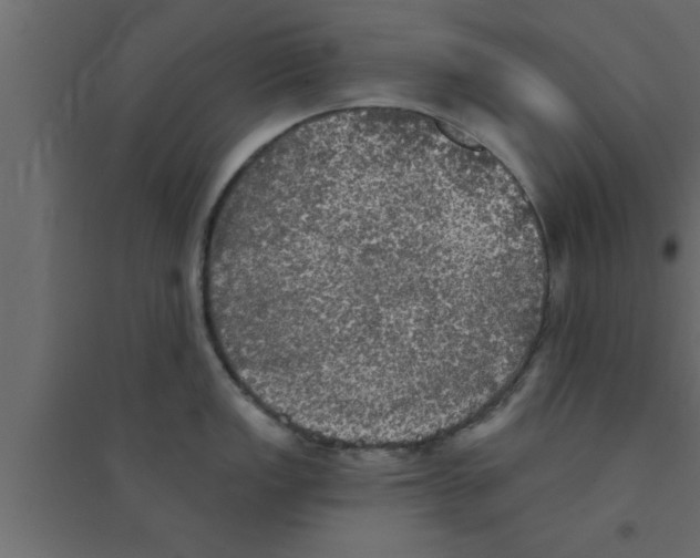 X0000094211149200711241654