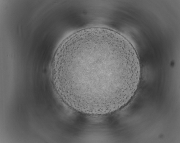 X0000094211150200711241654