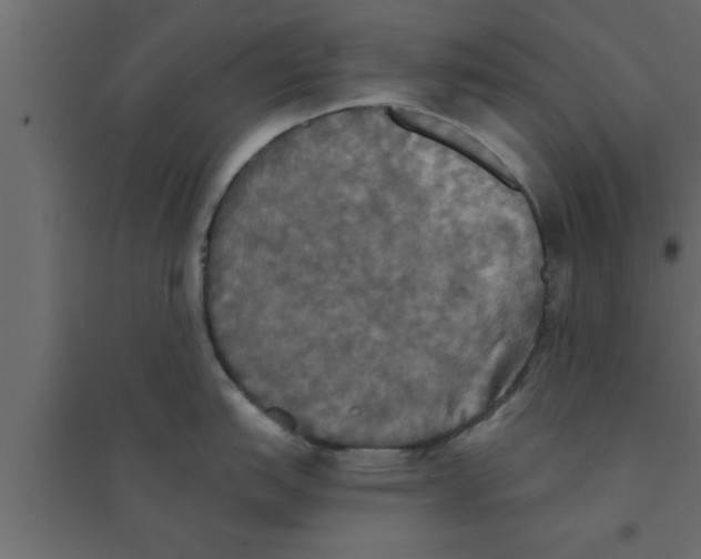 X0000094211151200711241654