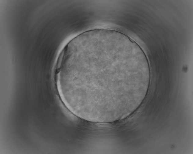 X0000094211152200711241654
