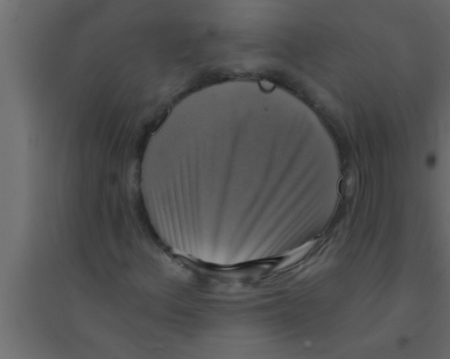 X0000094211156200711241654