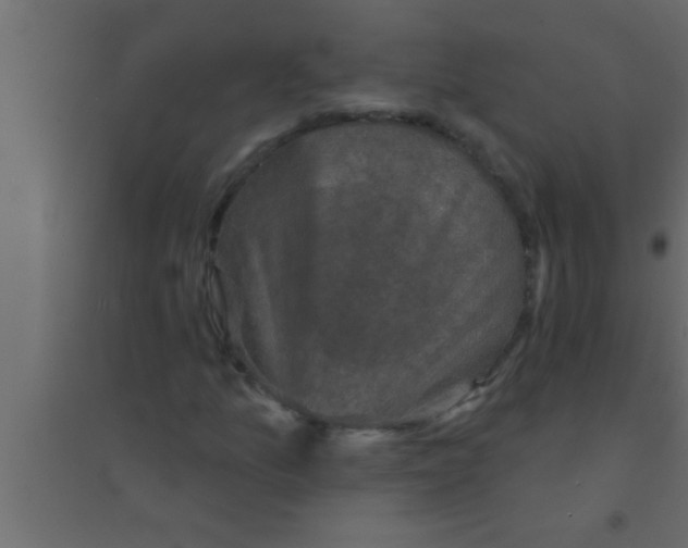 X0000094211157200711241654