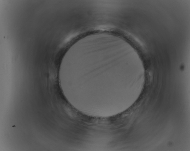 X0000094211158200711241653