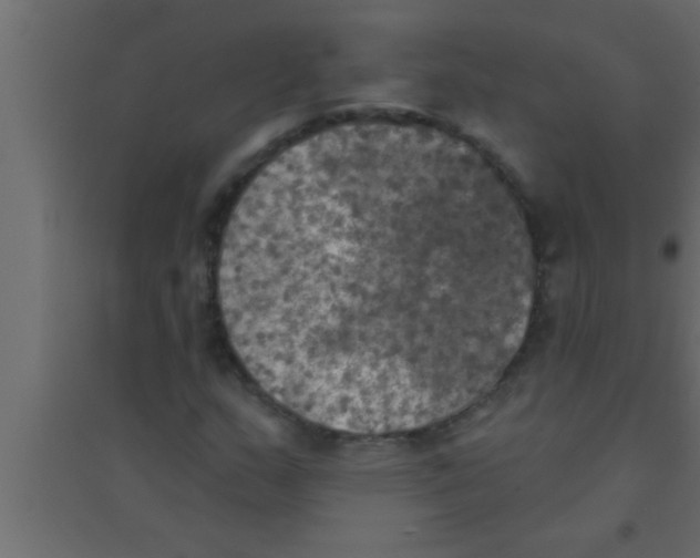 X0000094211159200711241653