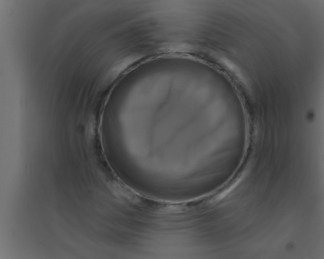 X0000094211161200711241653