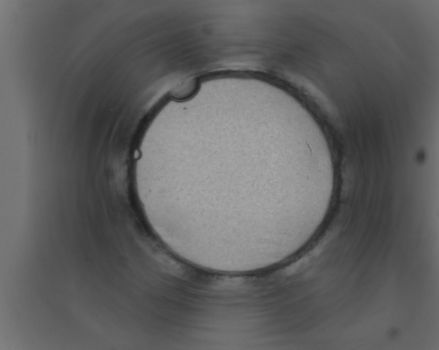 X0000094211162200711241653