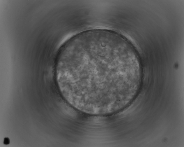 X0000094211163200711241653