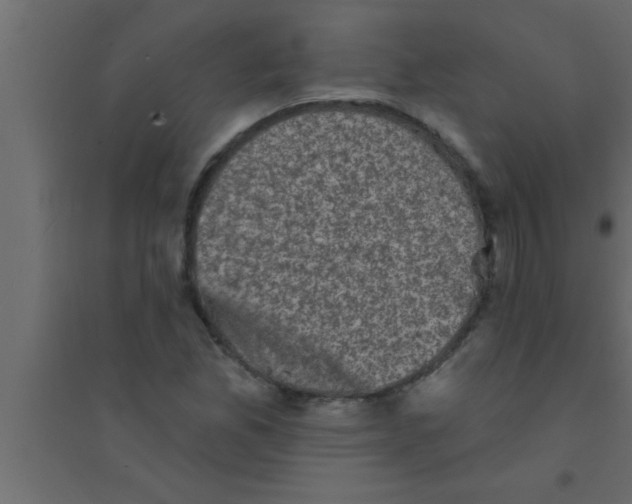 X0000094211165200711241653
