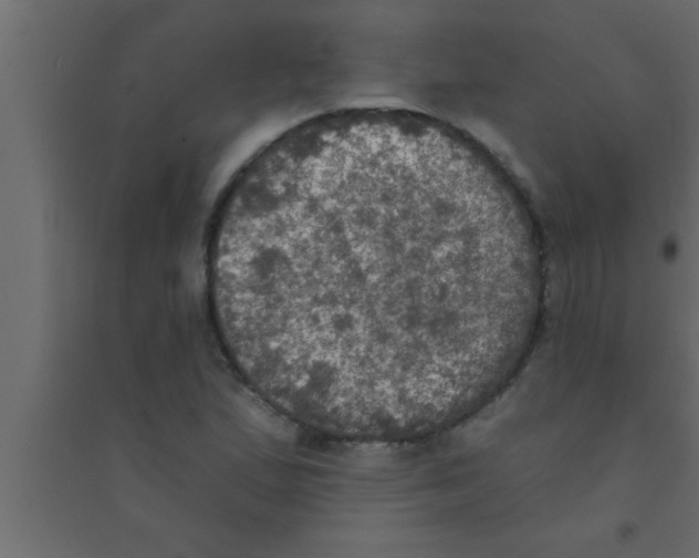 X0000094211167200711241653
