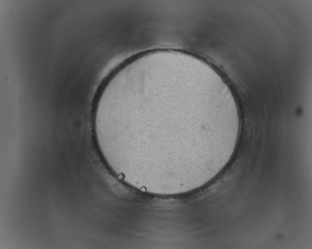 X0000094211168200711241653