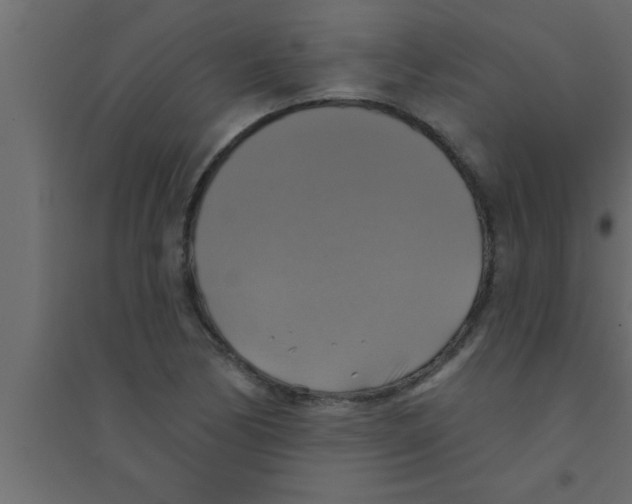 X0000094211170200711241653