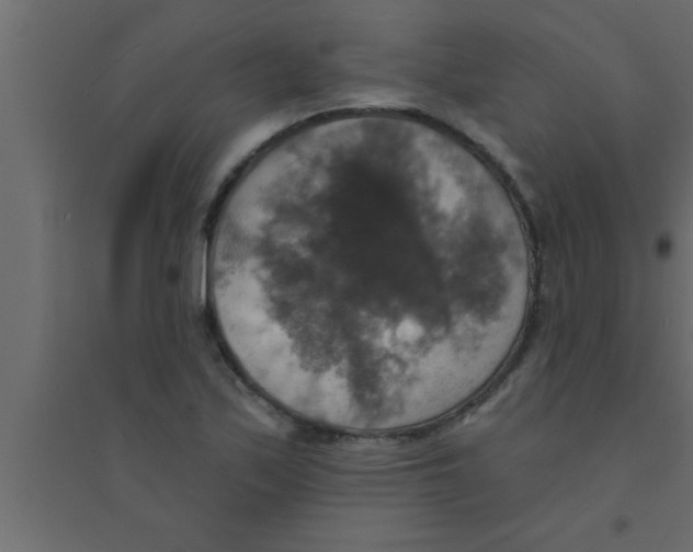 X0000094211171200711241653
