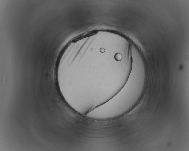 X0000094211173200711241653