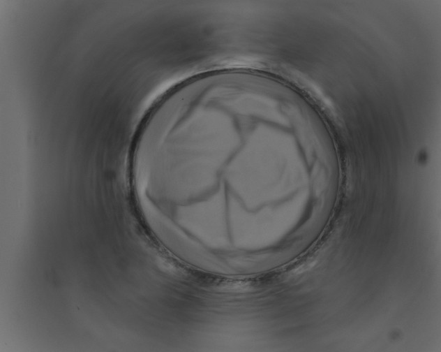 X0000094211174200711241653