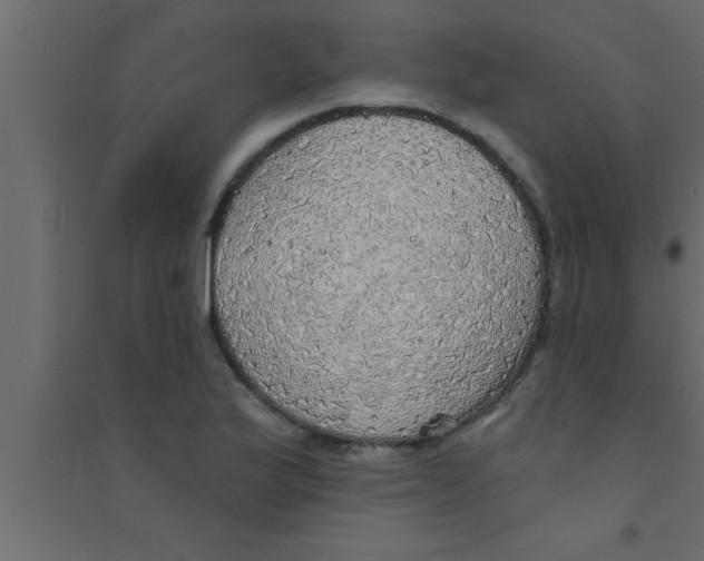 X0000094211175200711241653