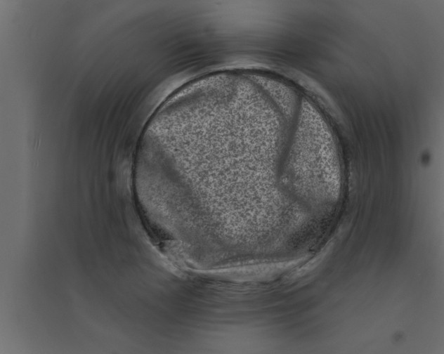 X0000094211177200711241653