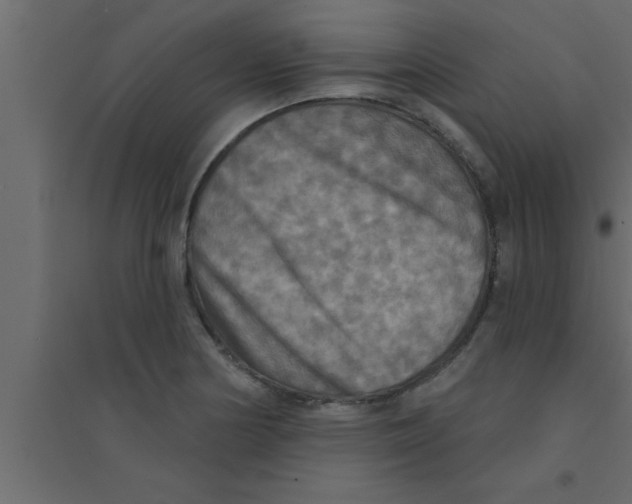 X0000094211178200711241653