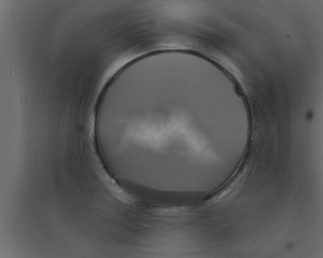 X0000094211179200711241653
