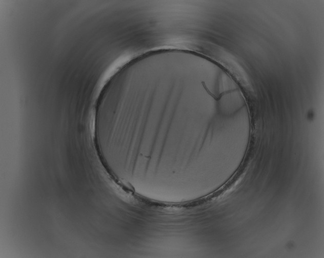 X0000094211180200711241653