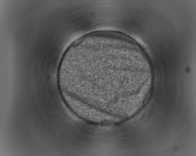 X0000094211181200711241653