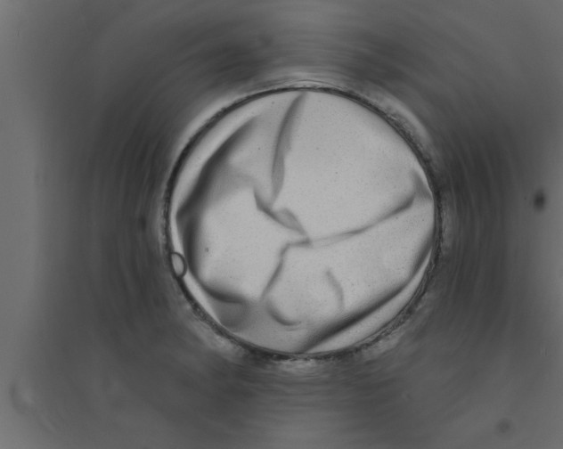 X0000094211182200711241653