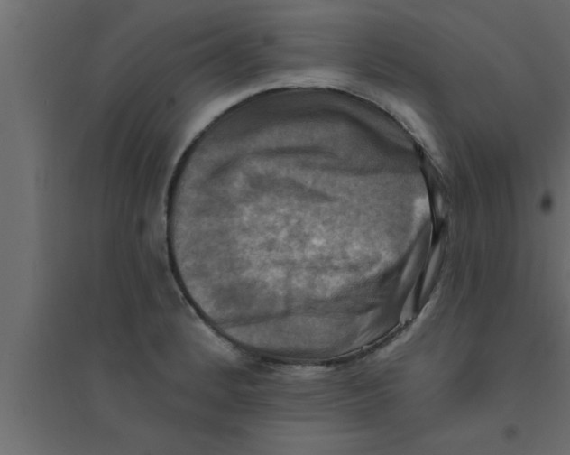 X0000094211184200711241653