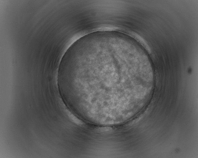 X0000094211186200711241653