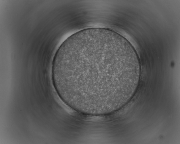 X0000094211187200711241653