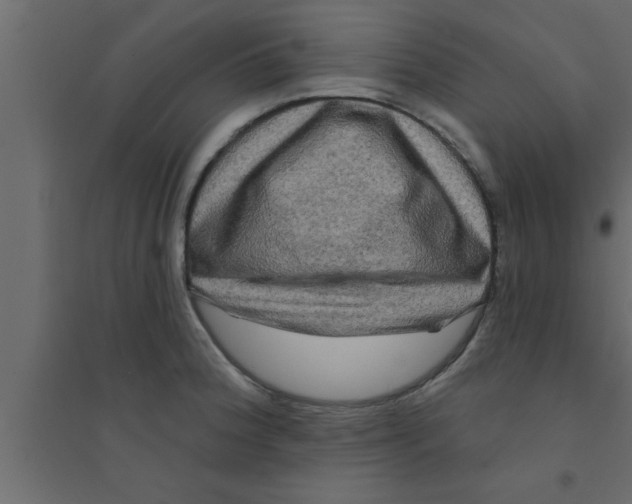 X0000094211188200711241653