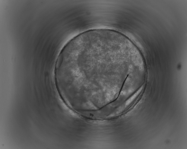 X0000094211189200711241653