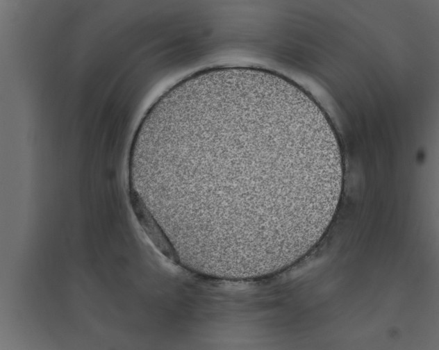 X0000094211191200711241653