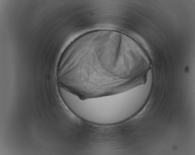 X0000094211192200711241653