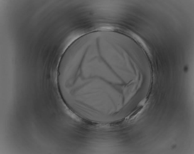 X0000094211194200711241653