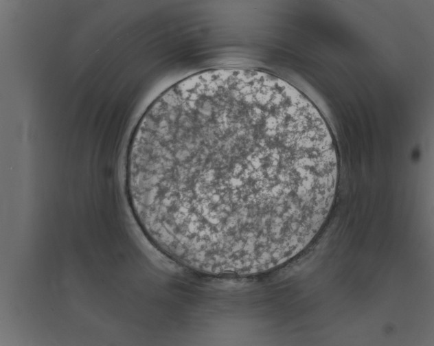 X0000094211195200711241653