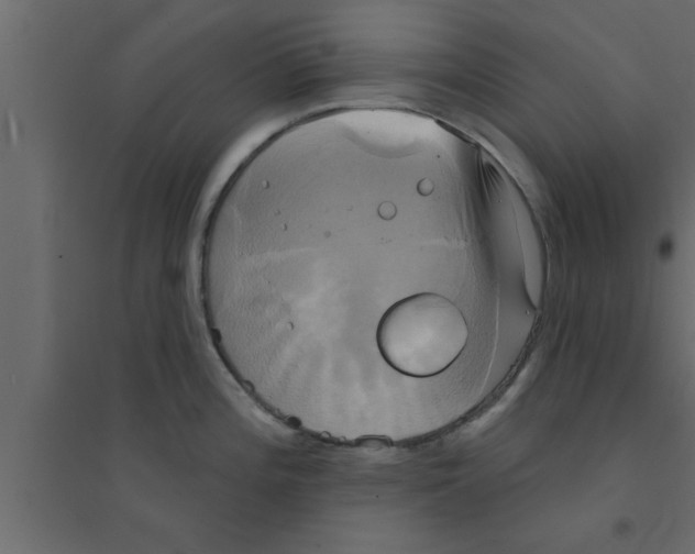 X0000094211196200711241653