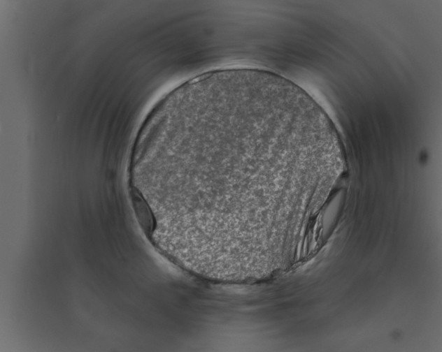 X0000094211197200711241653
