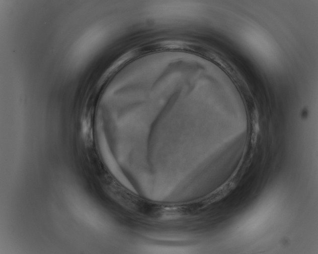 X0000094211198200711241653