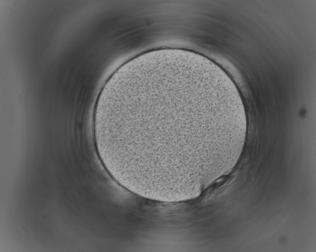 X0000094211199200711241653