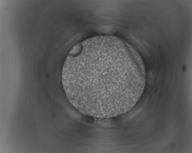 X0000094211201200711241652