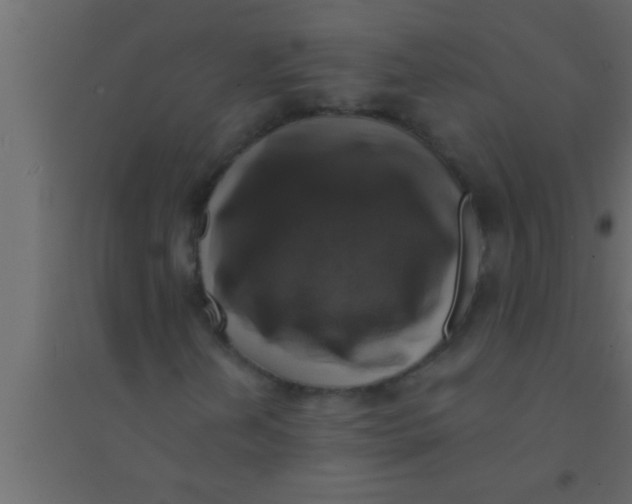 X0000094211202200711241652