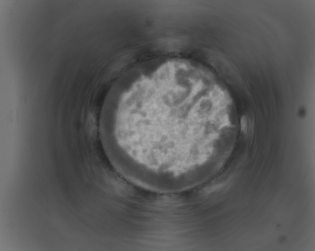 X0000094211203200711241652