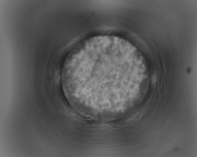 X0000094211204200711241652