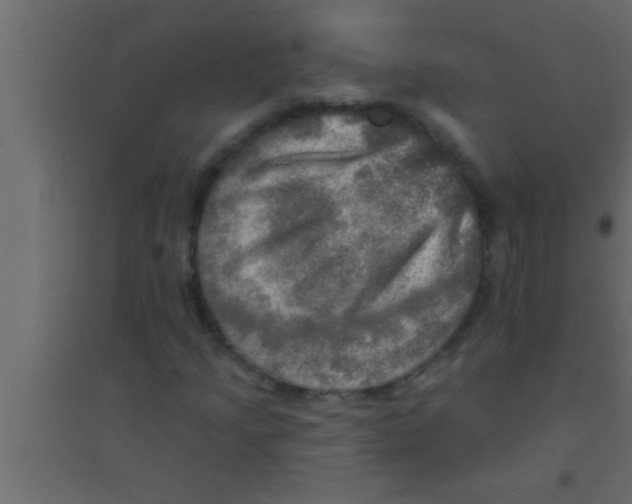 X0000094211205200711241652
