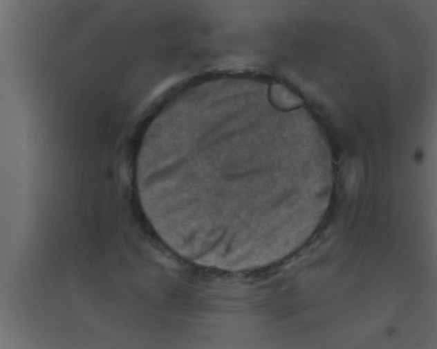 X0000094211206200711241652