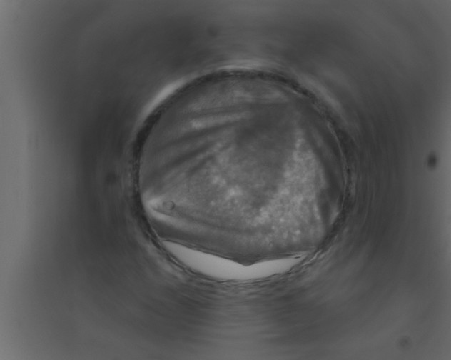 X0000094211208200711241652